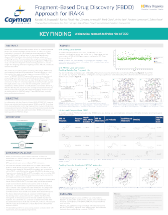 <p>​Fragment-Based Drug Discovery (FBDD) Approach for IRAK4<br></p>